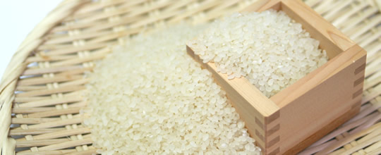 栽培期間中農薬不使用米　「浅間こし」