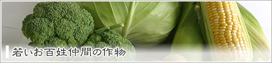 若いお百姓仲間の作物