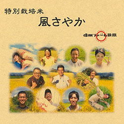 長野県オリジナル米「風さやか」