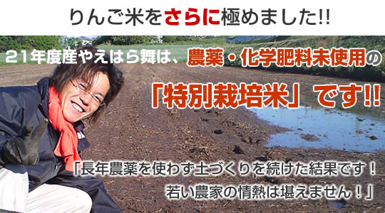 21年度産やえはら舞は、農薬・化学肥料未使用の「特別栽培米」です!!